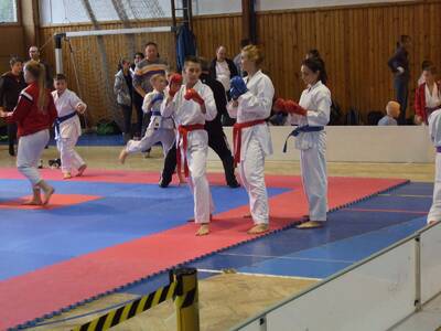 Obraz 7: W słowackiej  Trstenie walczyli karatecy ...
