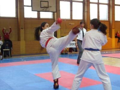 Obraz 12: W słowackiej  Trstenie walczyli karatecy...
