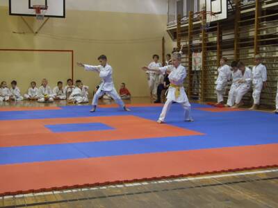 Obraz 4: Pierwszy krok w karate