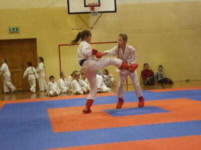 Obraz 8: Pierwszy krok w karate