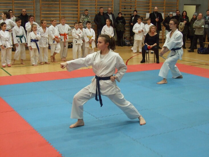 UROCZYSTY  TURNIEJ  KARATE &#039;&#039;ARAWSHI&#039;&#039;...