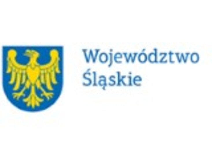 Wybory do Młodzieżowego Sejmiku Województwa Śląskiego