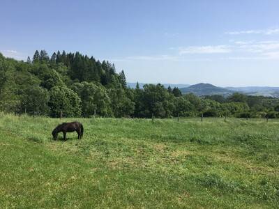 Obraz 2: Odkrywamy nasze Karpaty