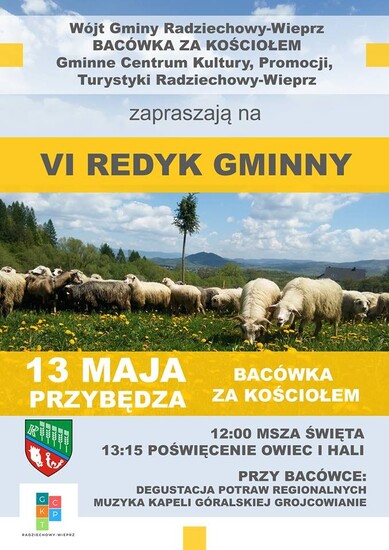 VI REDYK GMINNY W PRZYBĘDZY