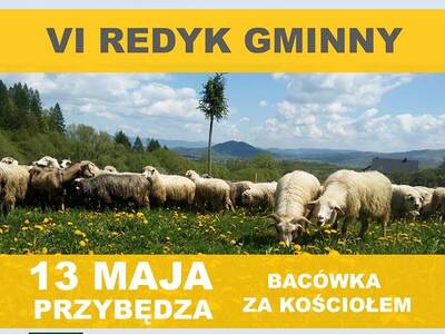 VI REDYK GMINNY W PRZYBĘDZY