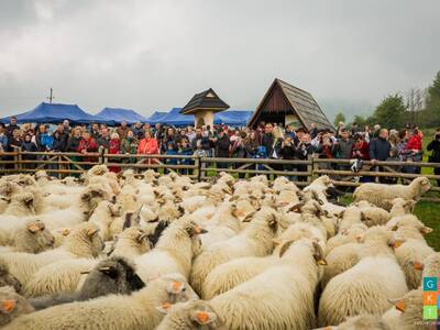 REDYK 2019 w Przybędzy już za nami...