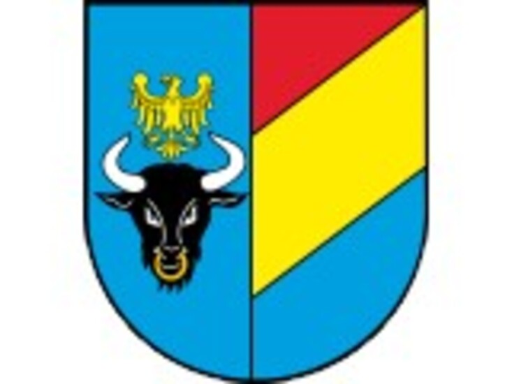 Tarcza Antykryzysowa