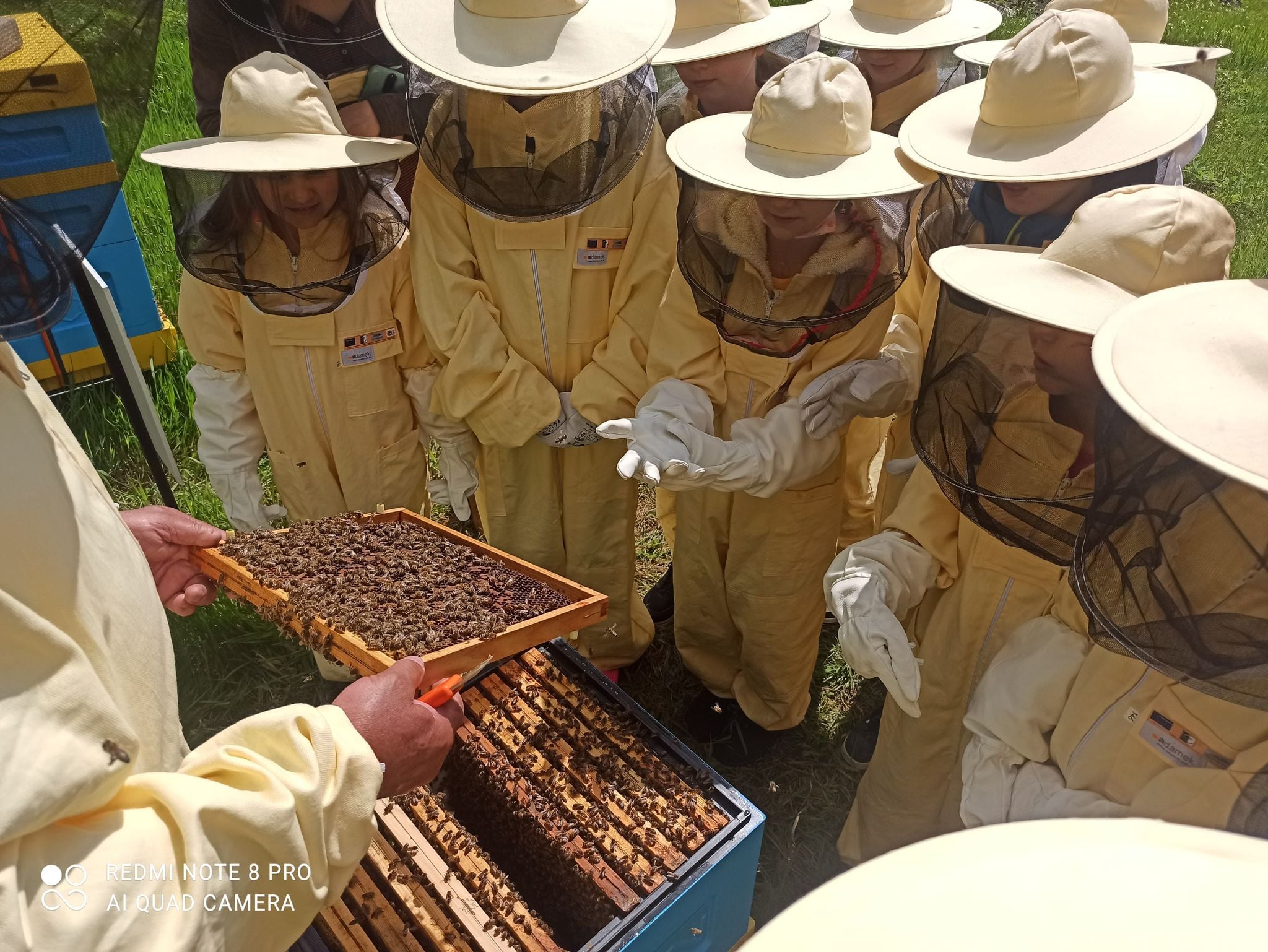 LDG &quot;Żywiecki Raj&quot; zaprasza na EkoRajd: Rola pszczół w życiu człowieka - 27 czerwca 2021
