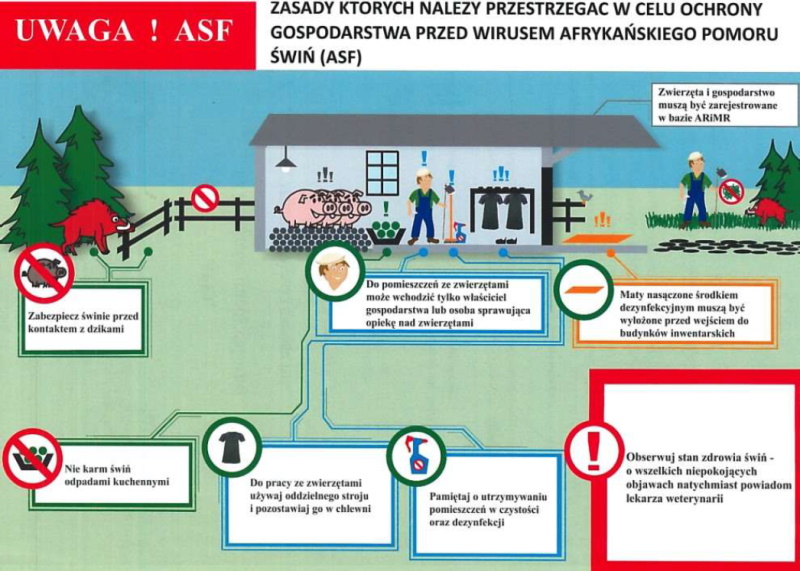 Akcja informacyjna dot. afrykańskiego pomoru świń ASF