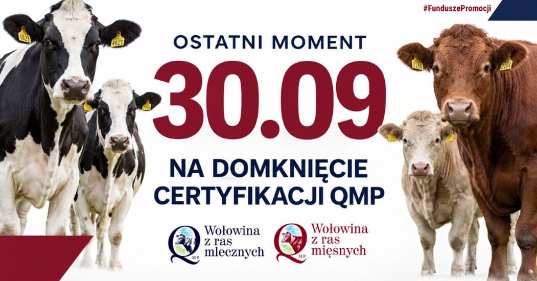 Certyfikat QMP - termin uzyskania upływa 30 września...