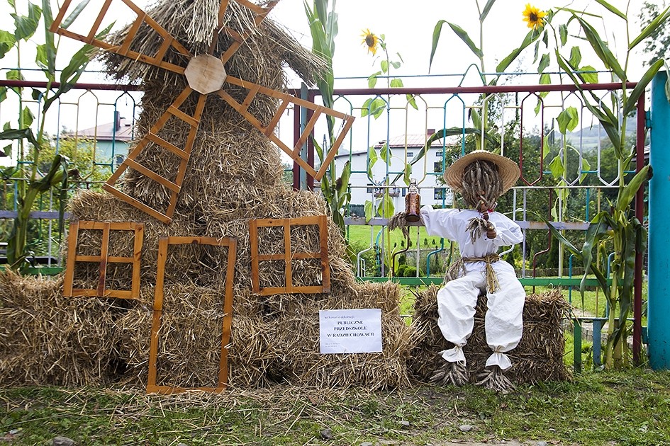 Dożynki Gminne 2014 w Radziechowach