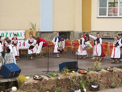 Obraz 17: Dożynki Gminne 2014 w Radziechowach