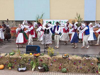 Obraz 22: Dożynki Gminne 2014 w Radziechowach