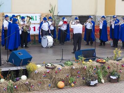 Obraz 28: Dożynki Gminne 2014 w Radziechowach