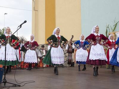 Obraz 42: Dożynki Gminne 2014 w Radziechowach