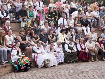 Obraz 45: Dożynki Gminne 2014 w Radziechowach