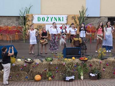 Obraz 48: Dożynki Gminne 2014 w Radziechowach