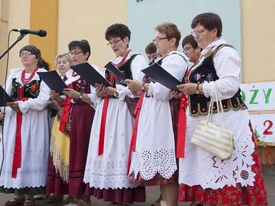 Obraz 63: Dożynki Gminne 2014 w Radziechowach