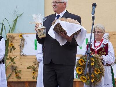 Obraz 72: Dożynki Gminne 2014 w Radziechowach