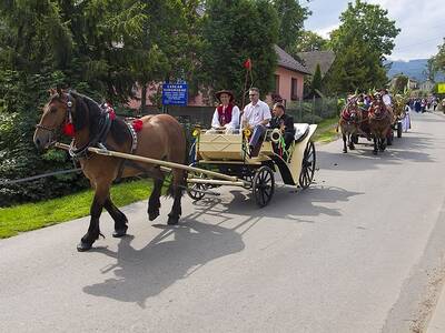 Obraz 87: Dożynki Gminne 2014 w Radziechowach