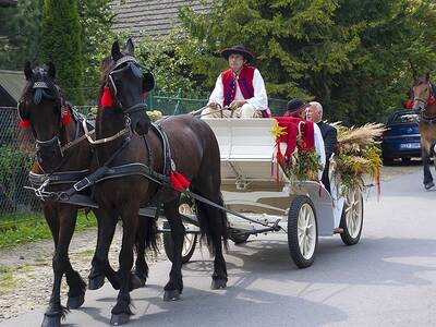 Obraz 89: Dożynki Gminne 2014 w Radziechowach