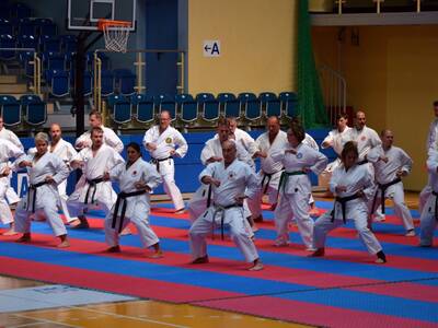 Obraz 2: Międzynarodowe Seminarium Karate