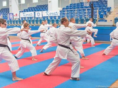 Obraz 7: Międzynarodowe Seminarium Karate