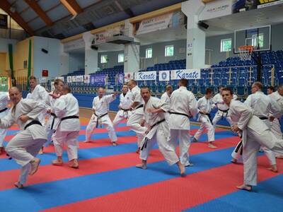 Obraz 13: Międzynarodowe Seminarium Karate