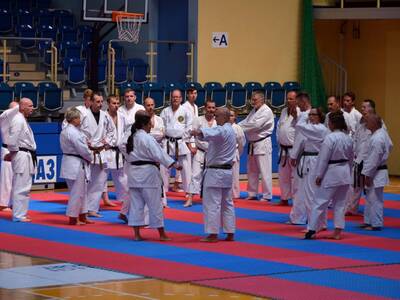 Obraz 17: Międzynarodowe Seminarium Karate