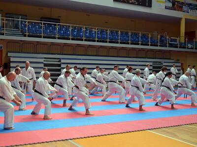 Obraz 21: Międzynarodowe Seminarium Karate