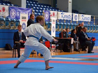 Obraz 22: Międzynarodowe Seminarium Karate