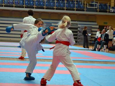 Obraz 24: Międzynarodowe Seminarium Karate