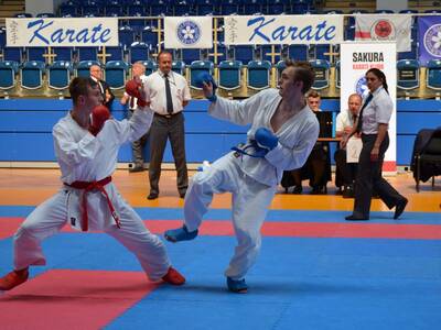 Obraz 25: Międzynarodowe Seminarium Karate