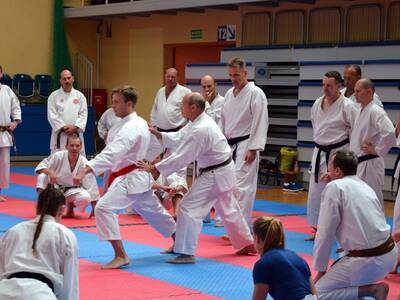 Obraz 31: Międzynarodowe Seminarium Karate
