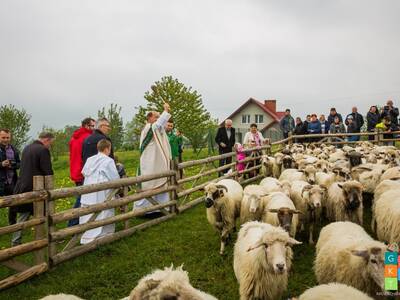 Obraz 72: REDYK 2019 w Przybędzy