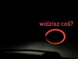 To bardzo ważna akcja! Zadbajmy o bezpieczeństwo na naszych drogach!