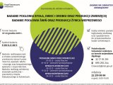 Urząd Statystyczny w Katowicach - badania ankietowe